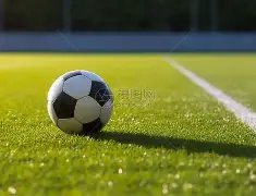 国米客场,败北,勒沃库森穆,北京单场官网,彩票平台,在线投注,单场赛事,彩票分析