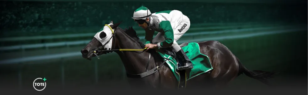 热刺凭借孙,兴慜双响逆,转霍芬海姆,北京单场官网,彩票平台,在线投注,单场赛事,彩票分析