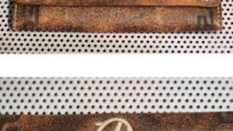 “寒假网球盛事璀璨，明星云集培训热潮涌动”