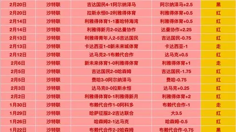 【连胜辉煌，美洲狮气势如虹！桑托见证辉煌瞬间】